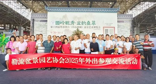 超2萬(wàn)人打卡！第十四屆粵港澳臺(tái)盆景藝術(shù)博覽會(huì)中山黃圃完美收官